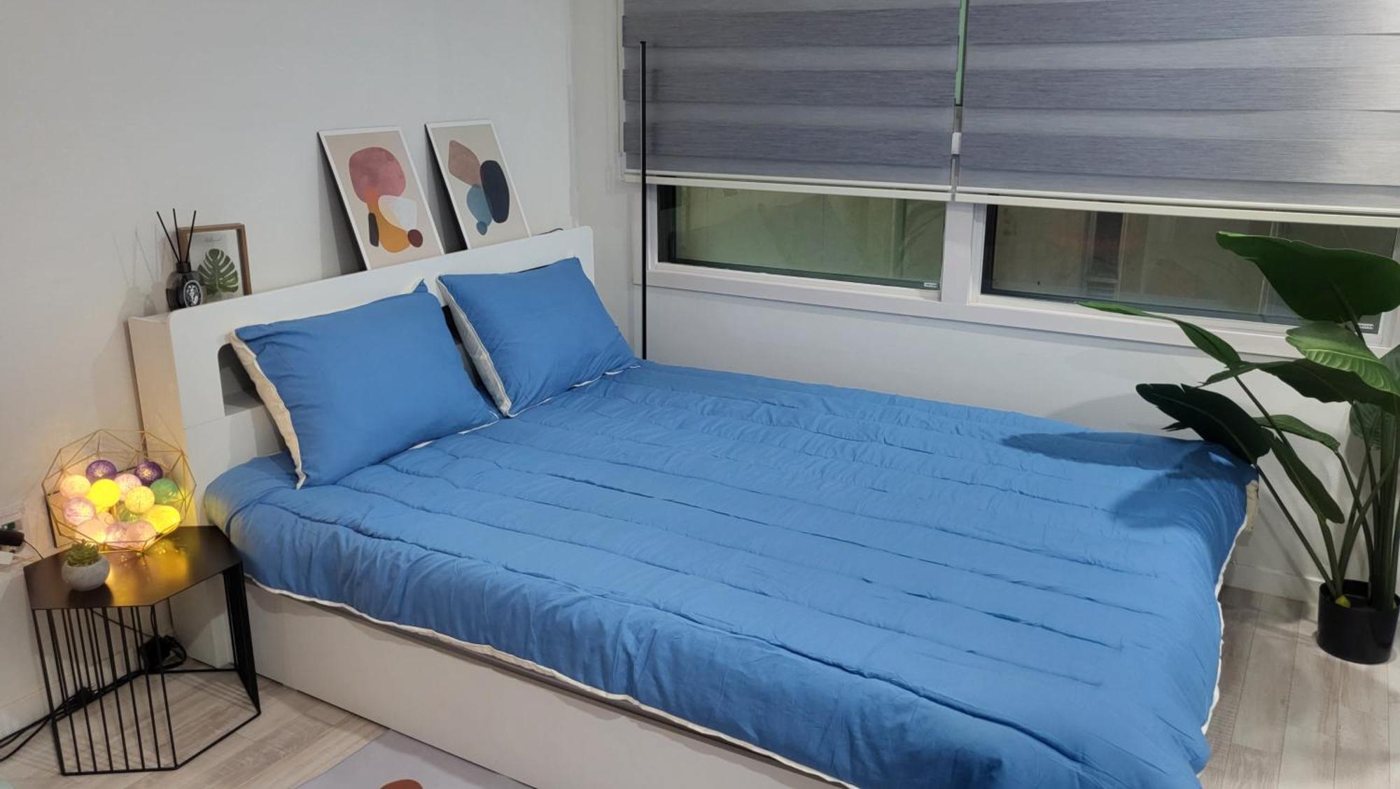 Cozy Spacious House Apartment *